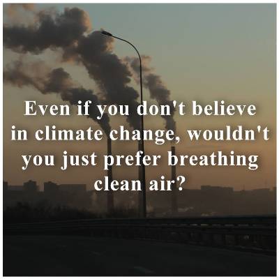 clean air or ceo profits